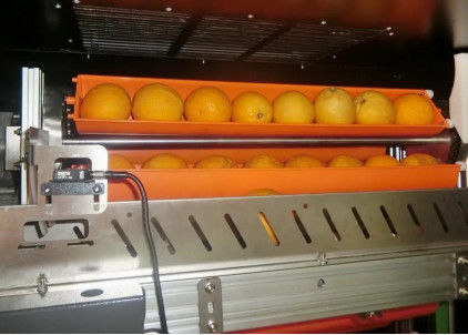 Schwarzmarkt-Frucht Juice Vending Machine 800W für Orangen Apple