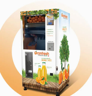 Tragen Gemüsebiokost-Automaten-automatische besonders angefertigt Früchte