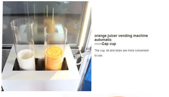 Frischer orange Juicer-Automat automatisches CER 1500W bescheinigt