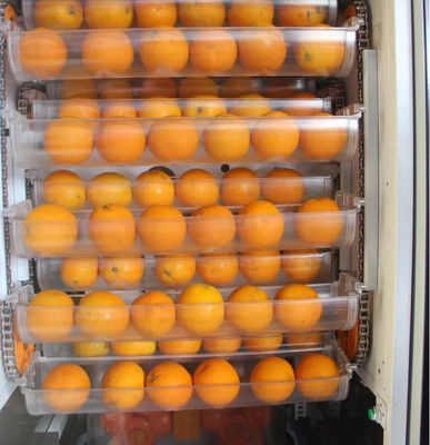 Selbstfrucht frischer orange Juice Vending Machine 1000W für Supermarkt-Speicher