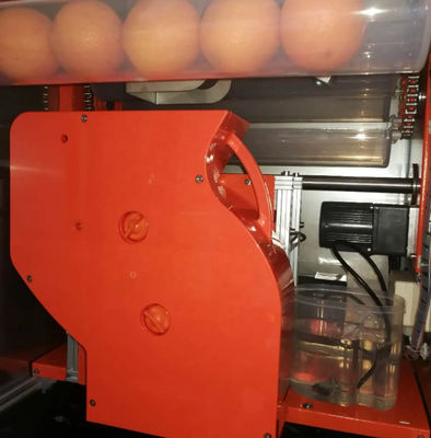 Automatischer frischer verkaufender orange Juice Machine 800W WD-ORANGE